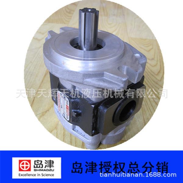 凿岩机用SGP1C30AS1HH1-R209C杭州友高齿轮泵天津泵泵