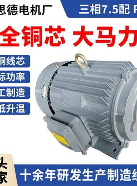 三相电动机2.2/5.5/7.5/11/15W配R1/R2叶片泵电机液压马达