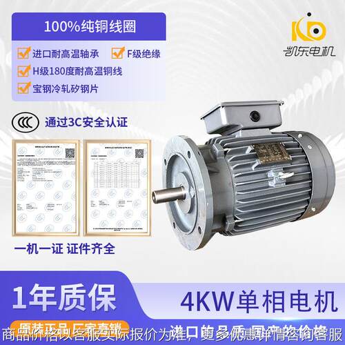 台款4W铸铁立式单相220V电机家用商用机械设备专用单相马达5HP