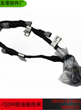 西安康明斯ISM11 QSM喷油器连接带针线束2864516 4022870 4004573