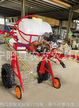 自走式家用打药机玉米喷药喷杆可折叠喷幅6米柴油手推打药机