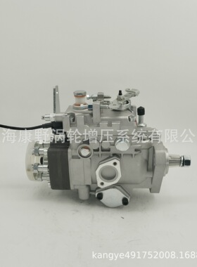 喷油泵104661-3031 32B65-10130和104642-7611 129919-51500