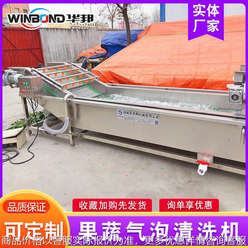 厂家供应 西葫芦果蔬清洗机 不锈钢清洗流水线 艾叶气泡清洗设备,清洗/食品/商业设备,果蔬加工设备,淘宝优惠券,粉丝福利购,淘宝优惠卷