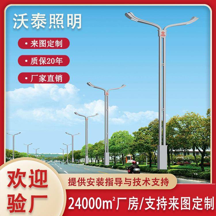 市政道路文化特色路灯LED路灯户外防水防锈热镀锌路灯杆