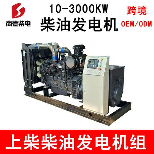 180千瓦上柴柴油发电机SC9D310D2 集装箱式防雨防尘发电机组