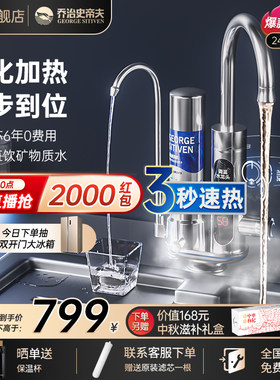 乔治史蒂夫 史帝夫净水王中王净热一体 调温加热