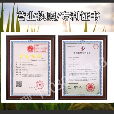 多功能新款粮食筛水稻精选机小麦玉米大豆选种机菜籽除杂机清粮机