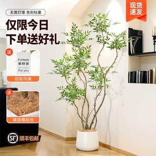 仿真南天竹大型落地室内客厅角落装 饰品风仿生绿植假