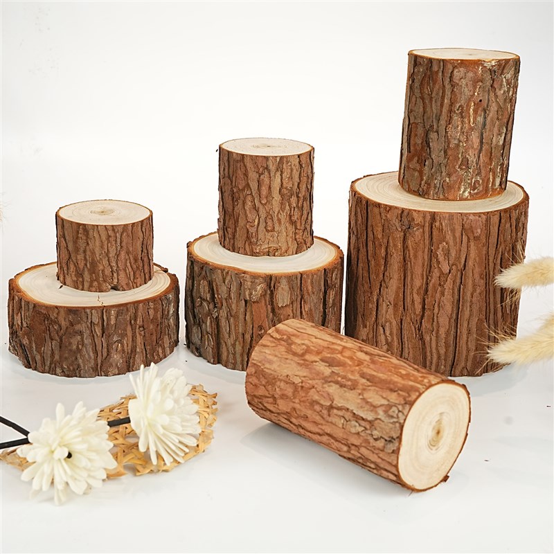 底座小木桩原木摆件木头拍摄道具装饰树桩幼儿园手工diy材料杉木