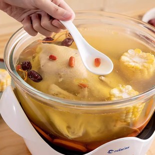 德朗养生锅电炖锅家用炖盅隔水炖全自动煲汤炖汤锅玻璃慢炖锅.L