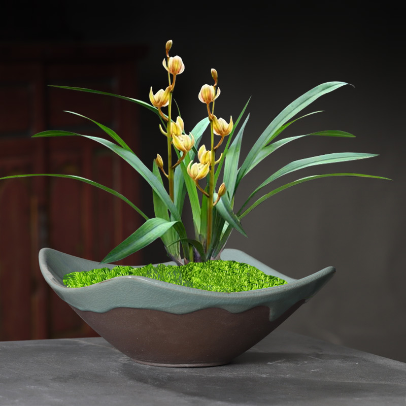 陶瓷盆景多肉花盆造景家用微景观文竹盆栽创意大号绿植蝴蝶兰拼盘