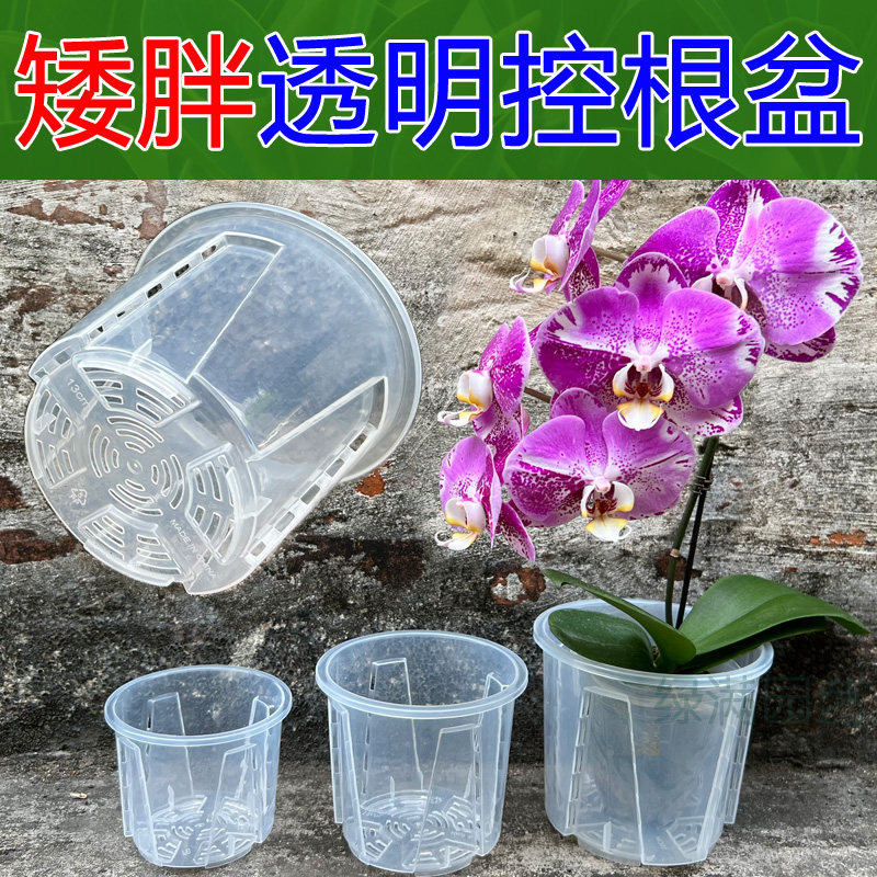 透明控根矮胖兰花盆塑料透气加厚热植海芋花烛蔓绿绒镂空青山花盆