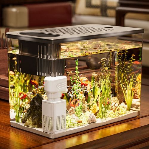 鱼缸水族箱塑料带盖生态缸金鱼缸家用客厅透明小型茶桌桌面造景缸