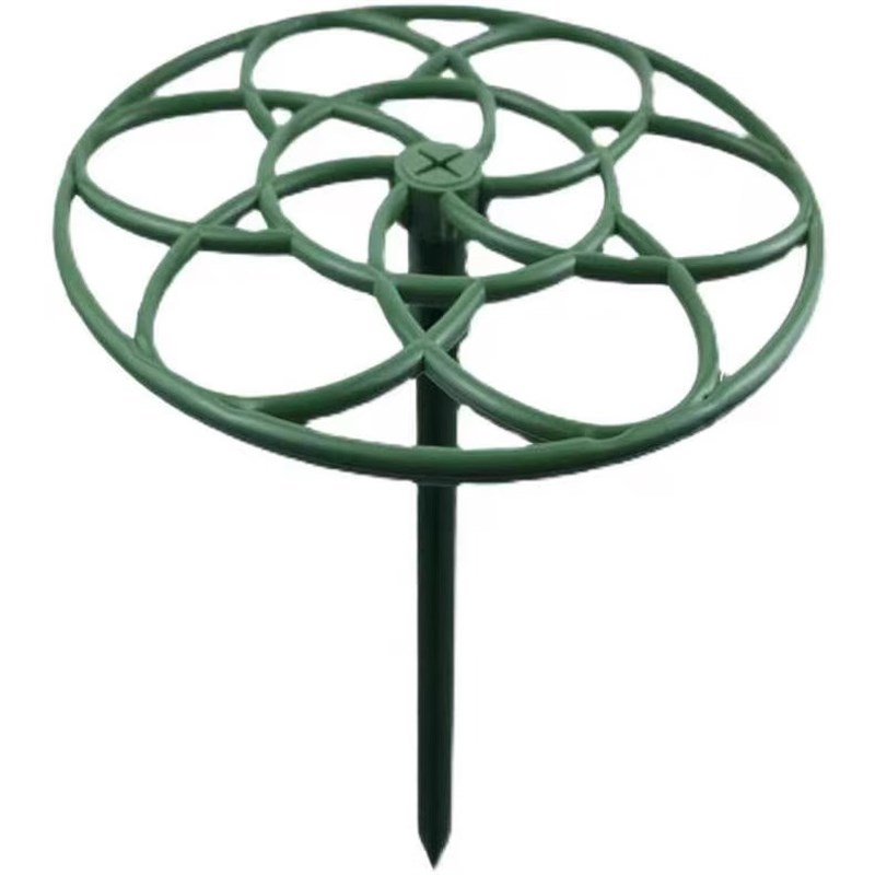 太阳花架棒棒糖造型架防倒伏花架子多层蟹爪兰支撑杆植物爬藤固定