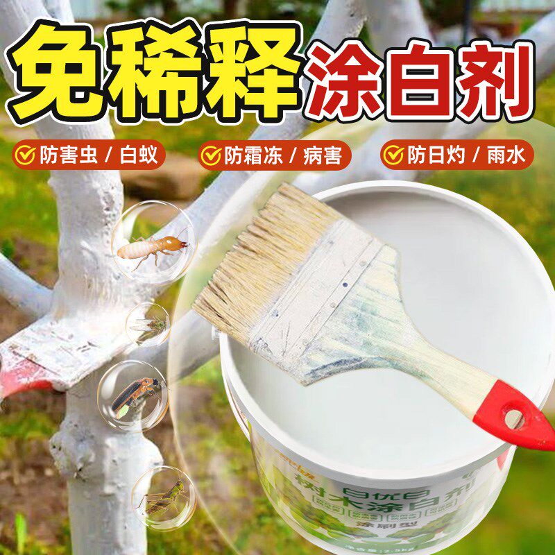 防虫涂白剂树干树木果树专用防虫防寒霜冻盆景大树刷白通用型