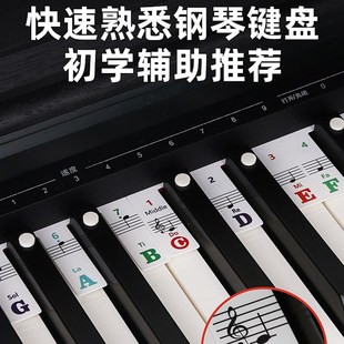 免粘钢琴键盘卡纸电钢琴琴键音符条键键五线谱简谱音标