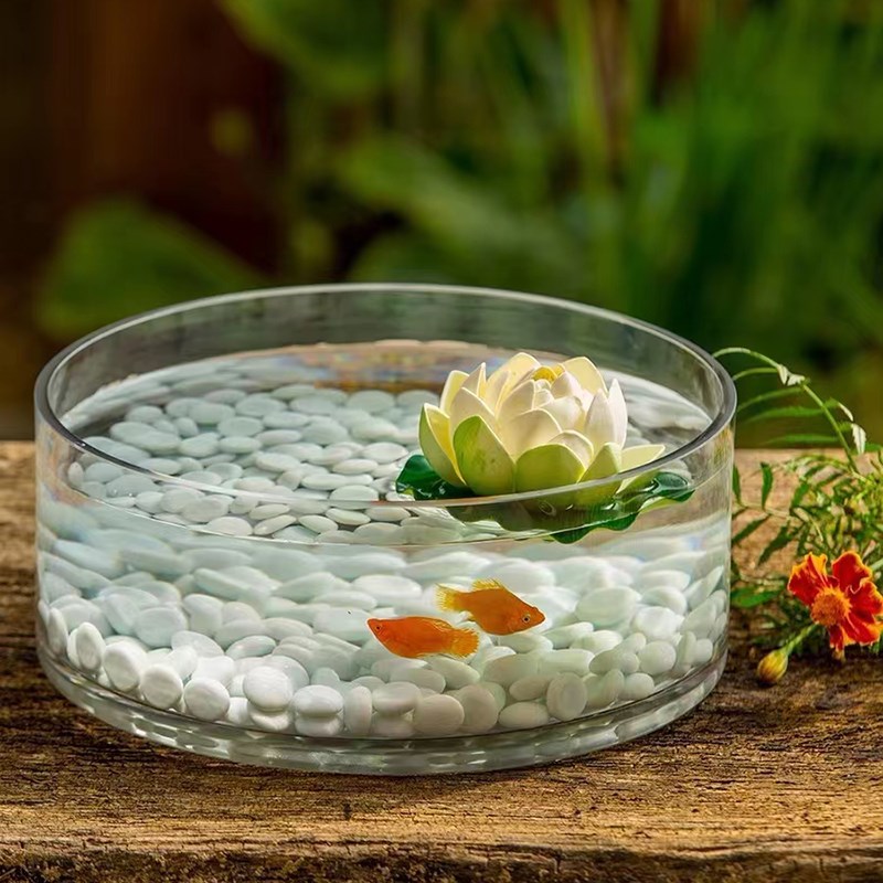 加厚手工大口径玻璃花瓶矮直桶水培绿植创意桌面造景装饰摆件