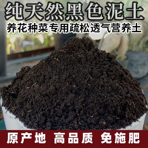 东北草碳土黑色泥土营养土果蔬种菜养育苗种植通用黑泥土免施肥