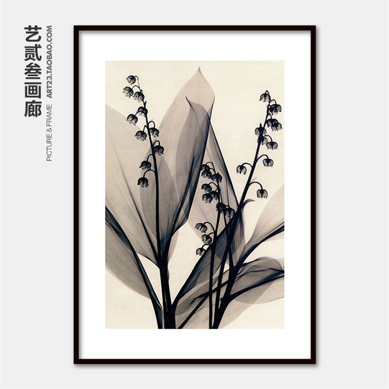 现代简约植物花卉透明花装饰画卧室客厅书房床头墙壁三联有框挂画图片