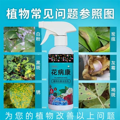 花病康喷剂雾杀菌剂植物花卉通用型多菌菌灵杀菌剂花卉免稀释抗菌