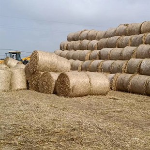 草垛凳子草垛垫草垛凳子圆形草垛干稻草草垛子麦草垛草垛道具摄影