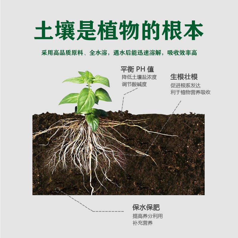 微生物菌剂 花卉强力生根快速壮苗绿植家庭园艺通用营养液防根腐