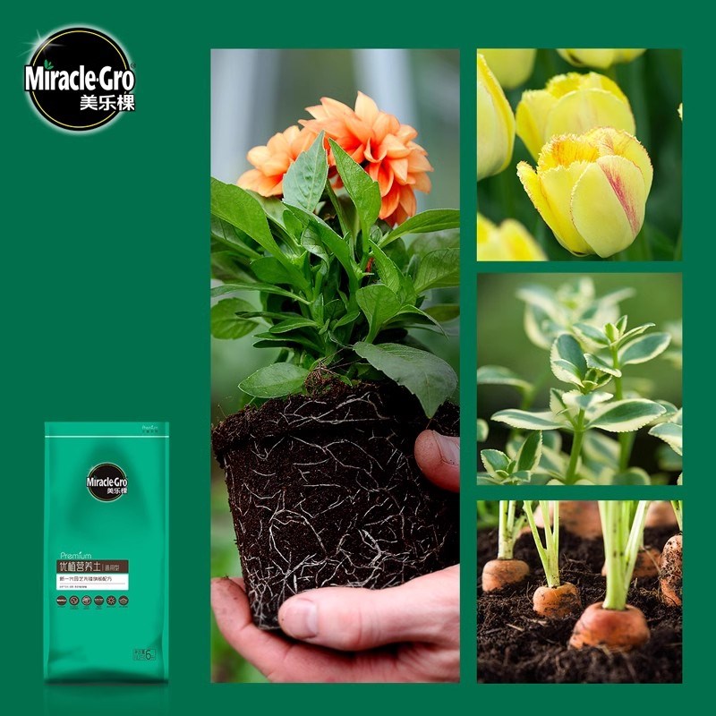 美乐棵优植营养土园艺家庭种植花卉绿植花泥土壤兰花多肉月季土壤