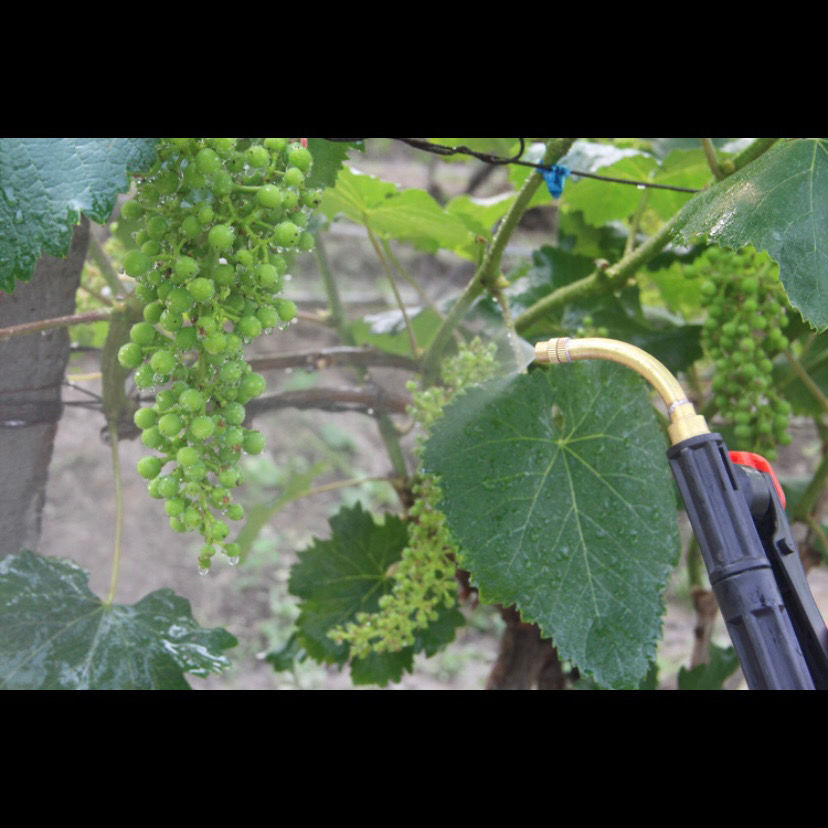 极速葡萄点花喷头喷雾器打药农用超细雾化可调节拉花喷嘴喷头喷杆