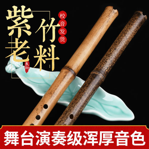 洞箫良韵洞萧 初学入门零基础笛民族紫竹潇古风八调