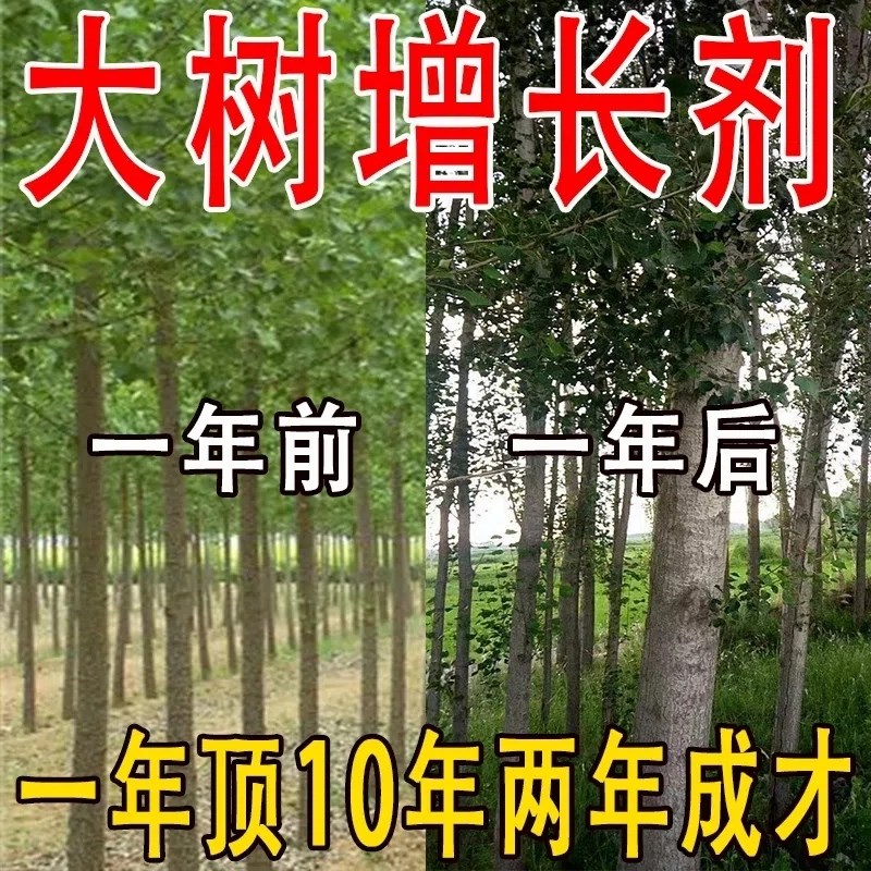 苗木速长增粗剂桉树专用肥杨树松树澳洲杉果树生长素猛长营养液