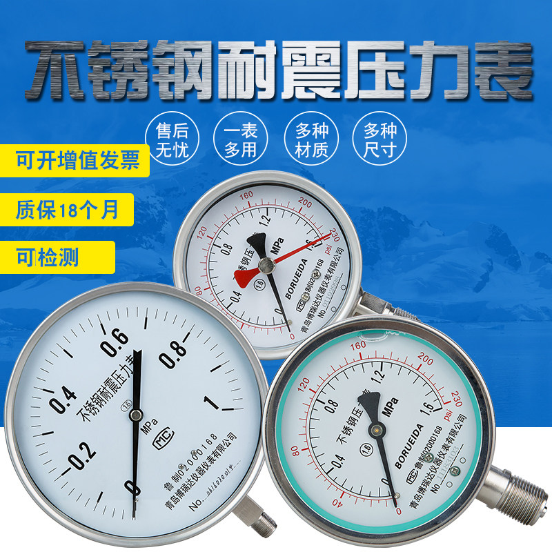 压力表耐耐抗温防腐氨用压力表全材
