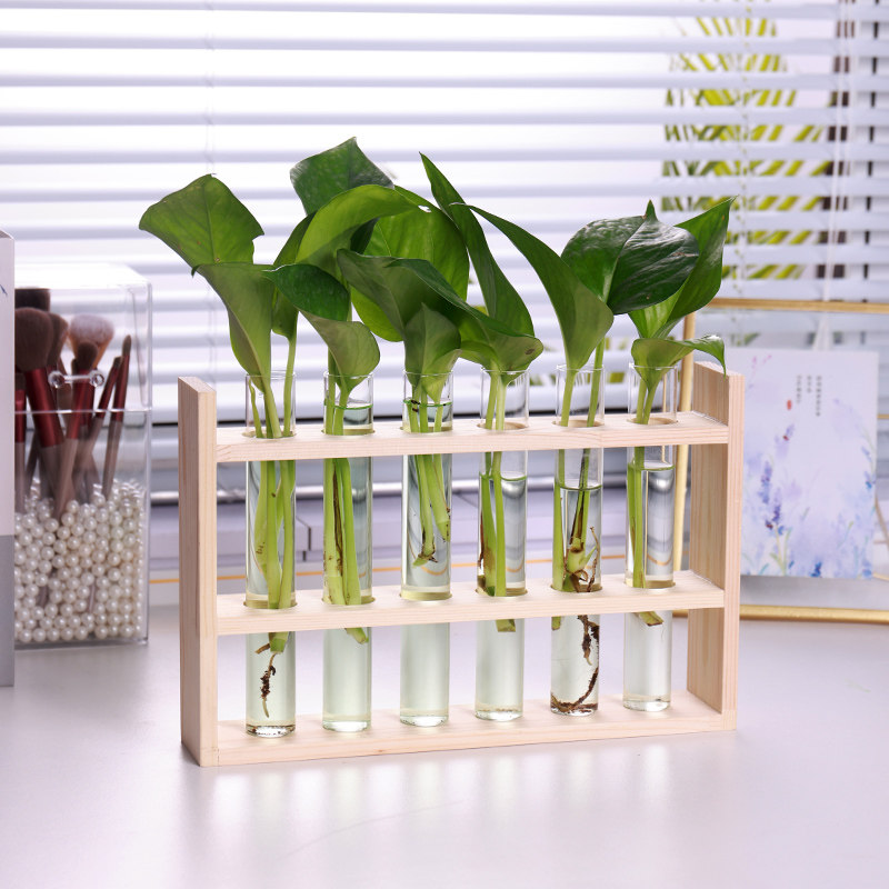 水培试管木质玻璃瓶水养绿植插容器木架装饰架