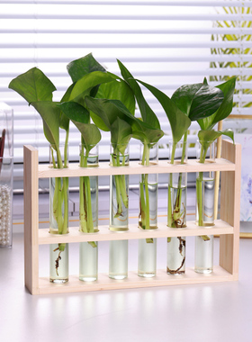 水培试管木质玻璃瓶水养绿植插容器木架装饰架