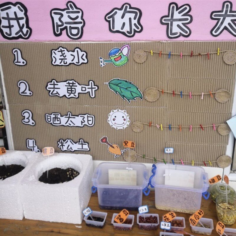 幼儿园自然区角区域牌种角环创挂饰吊饰题装饰环境布置材料