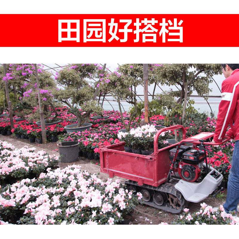 威马全地形履带式搬运车大棚果园田间转运车山地雪地运输装载车