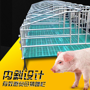 母猪定位栏加厚保育养猪产床落地式养殖场用设备猪围栏限位栏