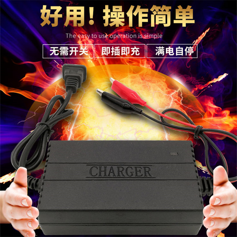 摩车充电器助力车蓄电池智能充电器安全靠
