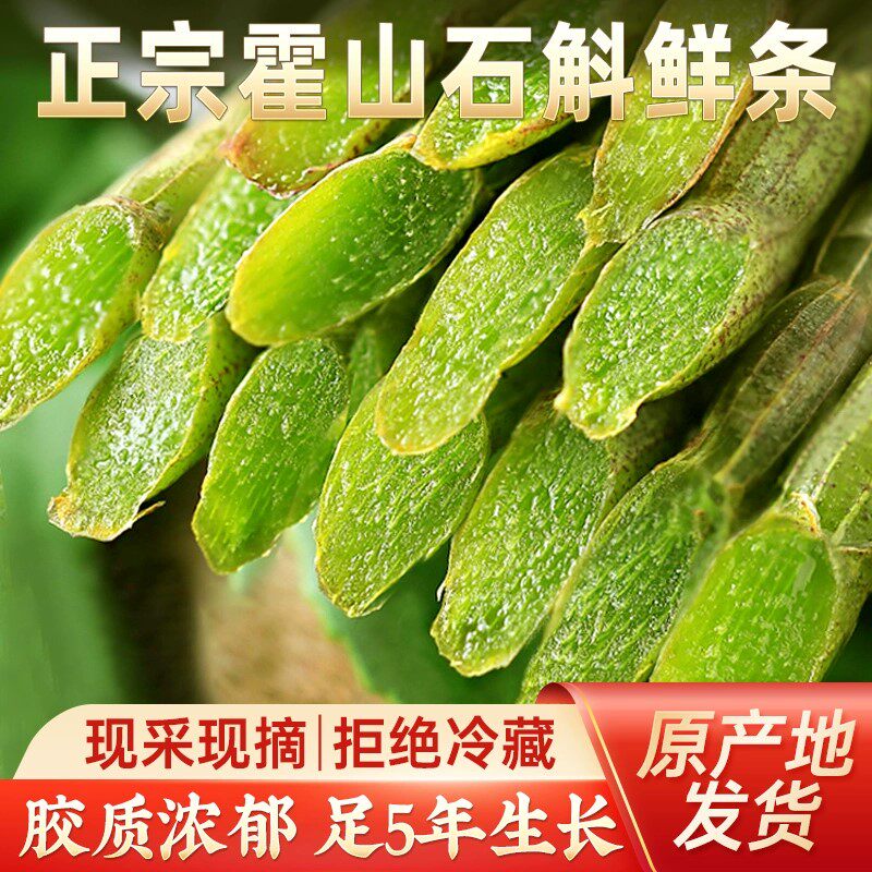 正宗霍山铁皮石斛鲜条自然生长新鲜石斛枝条可榨汁干嚼煲汤500g