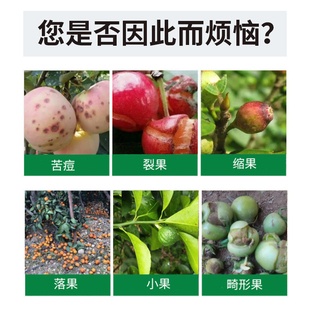 螯合钙肥水溶肥果树防裂蔬菜柑橘补钙叶面肥通用微量元素农用肥料