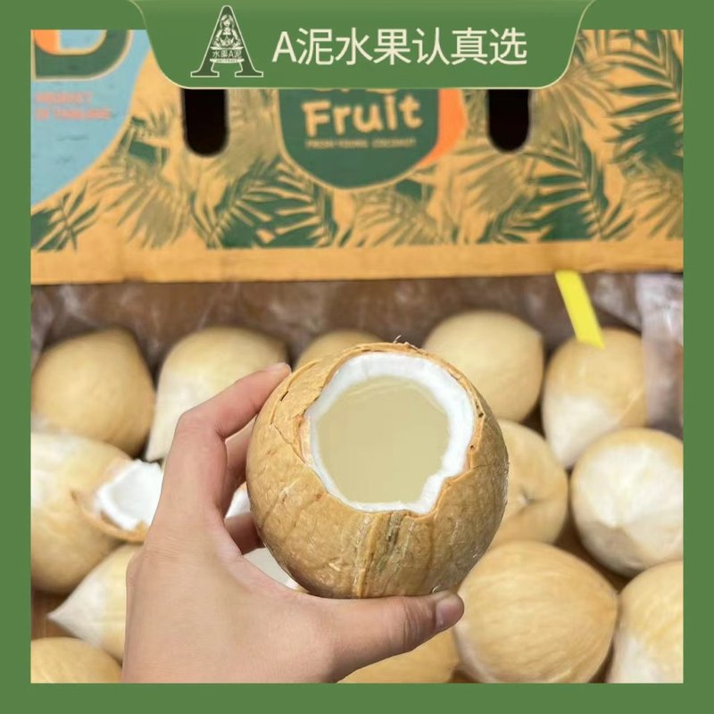 水果a泥香水老树椰皇 进口椰皇400-500g孕妇饮品