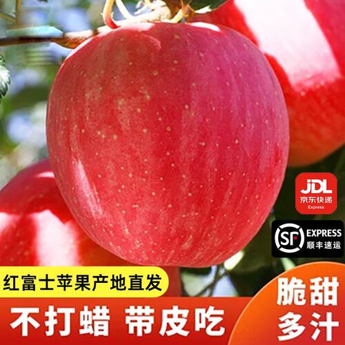 顺丰京东送货上门红富士甜苹果冰糖心丑苹果净重脆甜4.5斤8.5斤