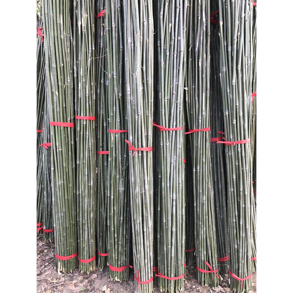竹竿蔬菜园架新产品栅栏栅栏薄竹支架2米旗杆豆黄瓜攀爬凉棚