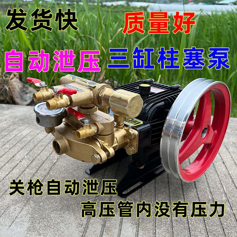 农用打药泵园林械设备动喷雾器雾化消毒养殖场洗泵