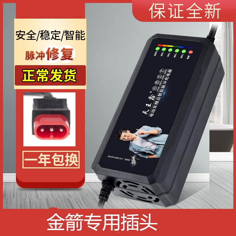 金箭电动车电瓶充电器48V12AH60V20AH72V30原装新国标插头专用