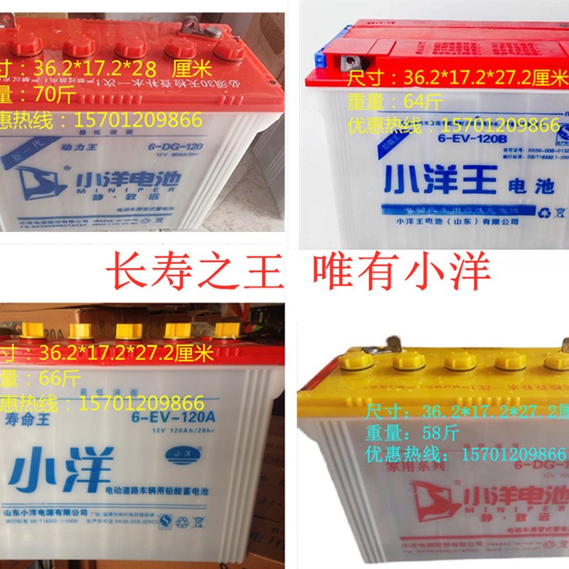 山东小洋电池6-DG-120A/B/C水电瓶电动三轮叉车超长寿命质量保证