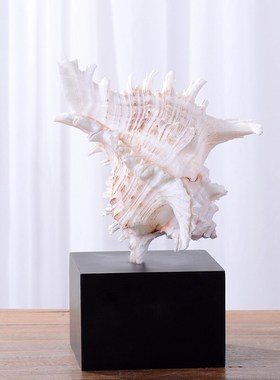 海洋风天然海螺摆件设计师酒店民宿家居软装饰品工艺品创意摆件