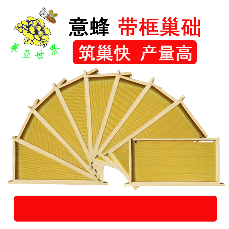全杉木半成品巢框铜眼四眼中蜂意蜂八千巢框标准巢础框蜜蜂巢框
