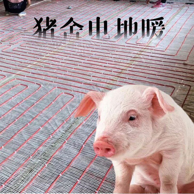暖烨 养殖场碳纤维电地暖 猪舍保恒温猪用电热板养殖设备仔猪