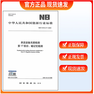 NB/T 47013.17-2024 承压设备无损检测 第17部分:磁记忆检测