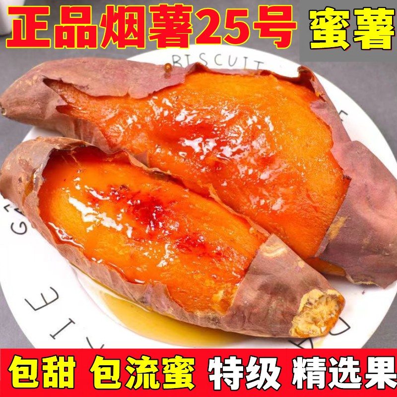 烟薯25号山东蜜薯番薯红薯烤地瓜心糖稀软瓤流油5斤